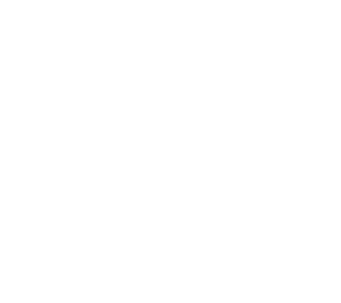 DarkWallet logo